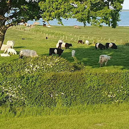 Pippilotta Olpenitzdorf *